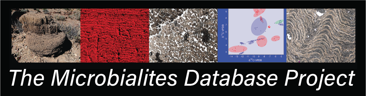 Microbial Biosignatures Project Logo